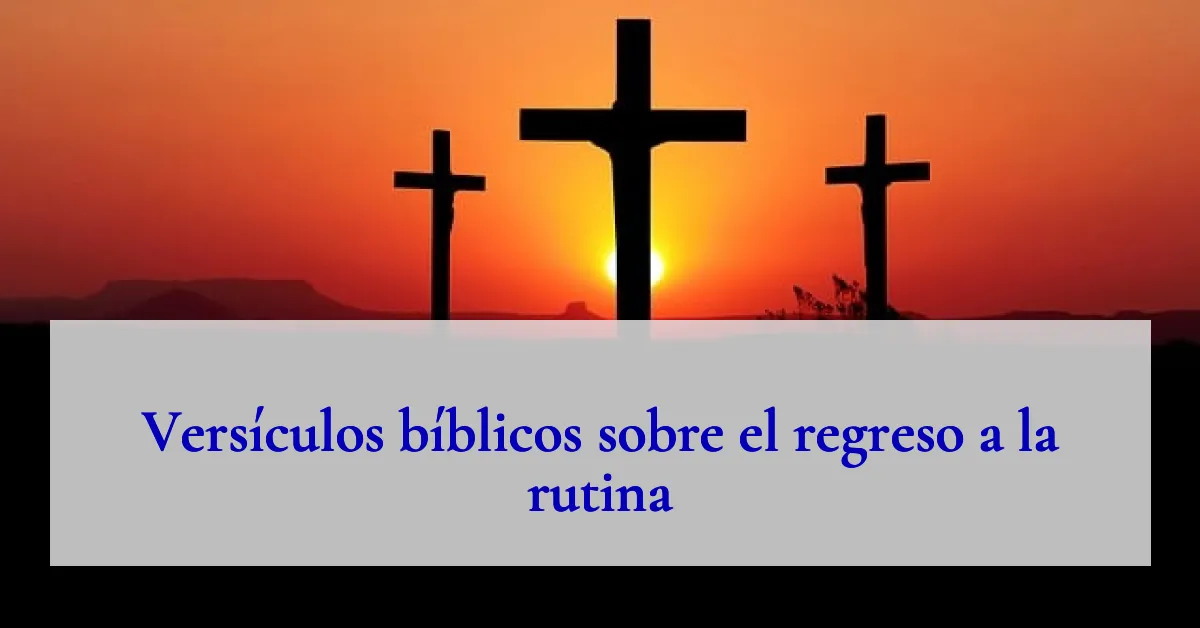 Versículos bíblicos sobre el regreso a la rutina