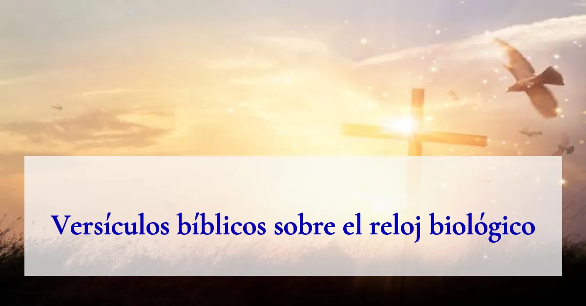 Versículos bíblicos sobre el reloj biológico