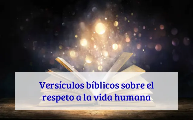 Versículos bíblicos sobre el respeto a la vida humana