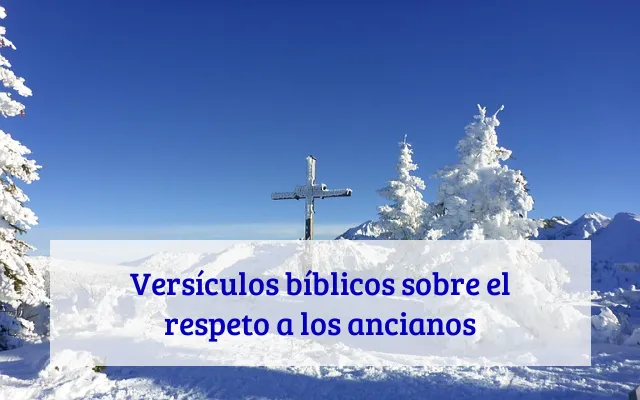 Versículos bíblicos sobre el respeto a los ancianos