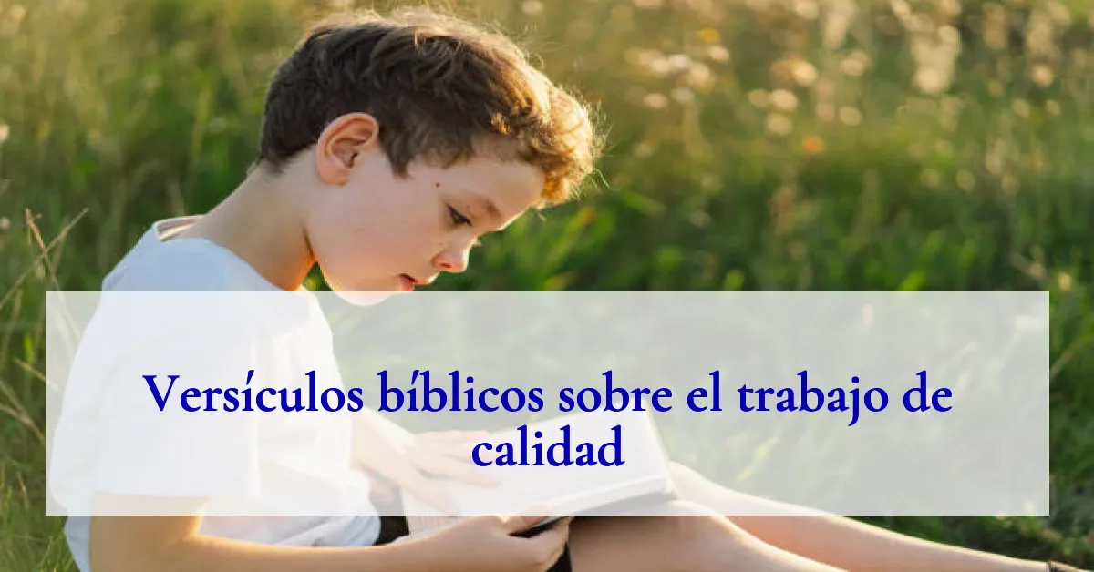 Versículos bíblicos sobre el trabajo de calidad