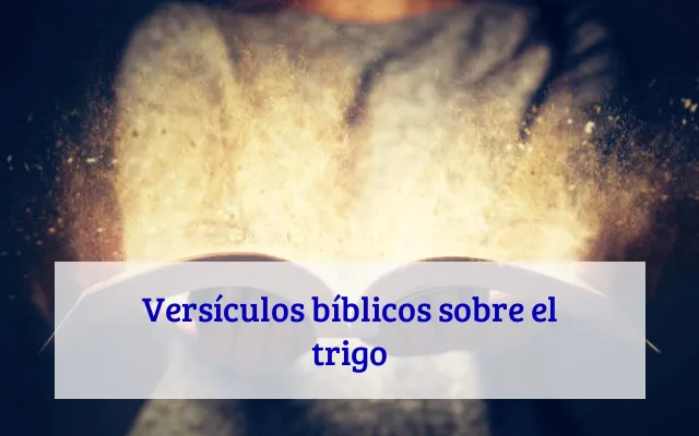 Versículos bíblicos sobre el trigo
