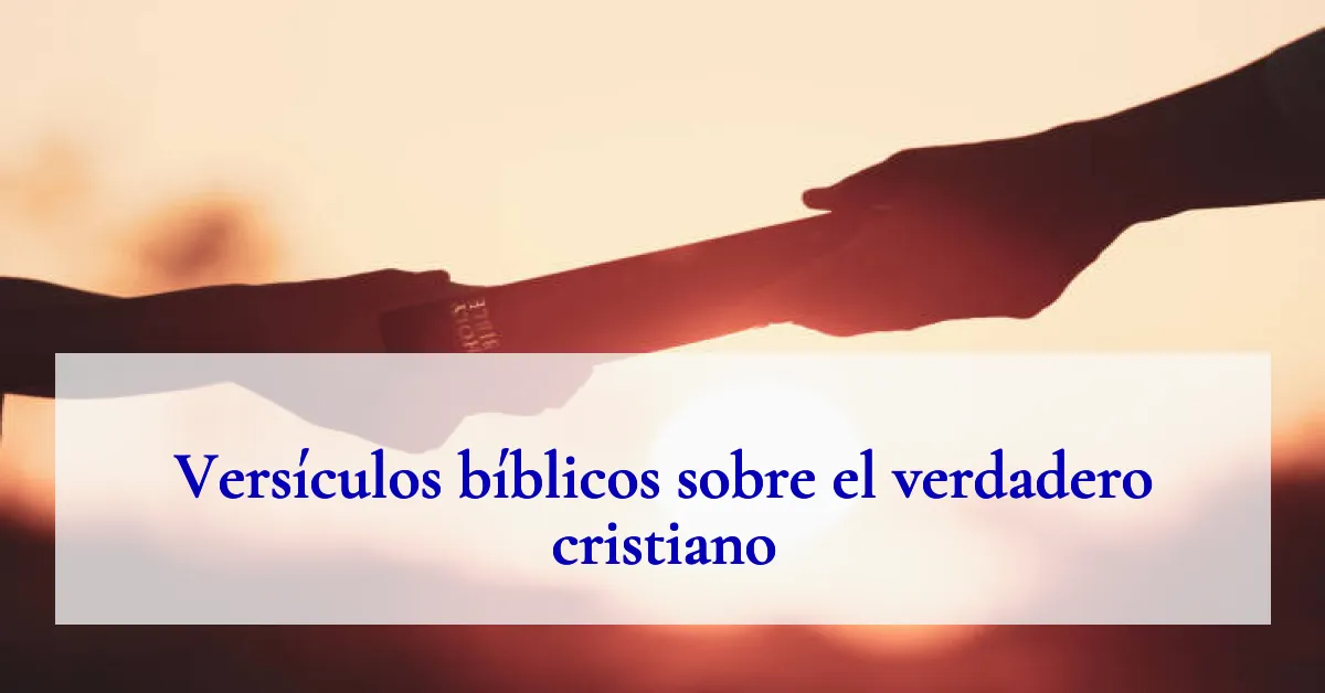 Versículos bíblicos sobre el verdadero cristiano