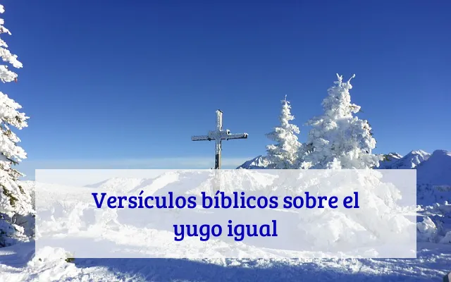 Versículos bíblicos sobre el yugo igual