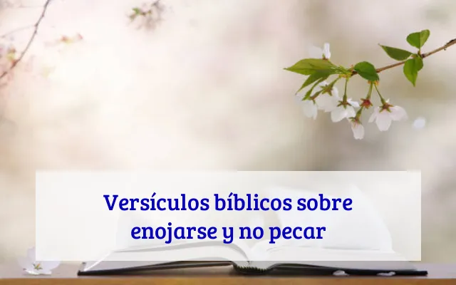 Versículos bíblicos sobre enojarse y no pecar