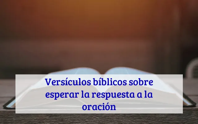 Versículos bíblicos sobre esperar la respuesta a la oración