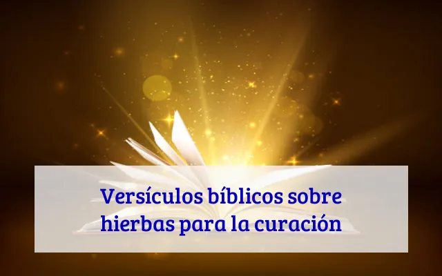 Versículos bíblicos sobre hierbas para la curación