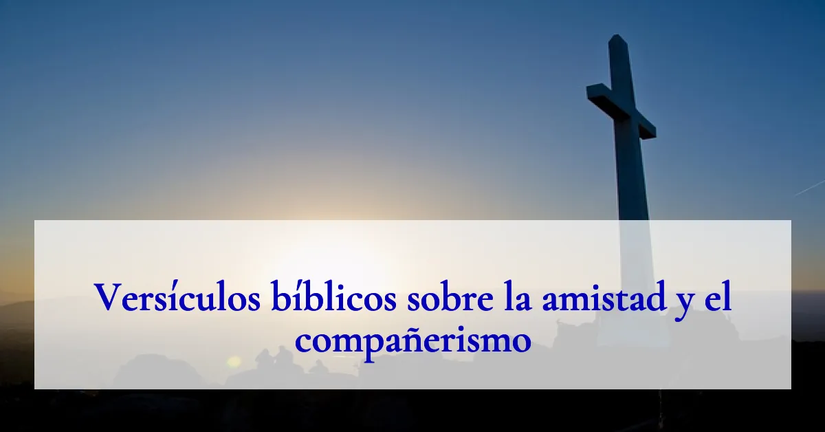 Versículos bíblicos sobre la amistad y el compañerismo