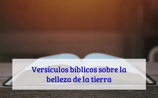 Versículos bíblicos sobre la belleza de la tierra