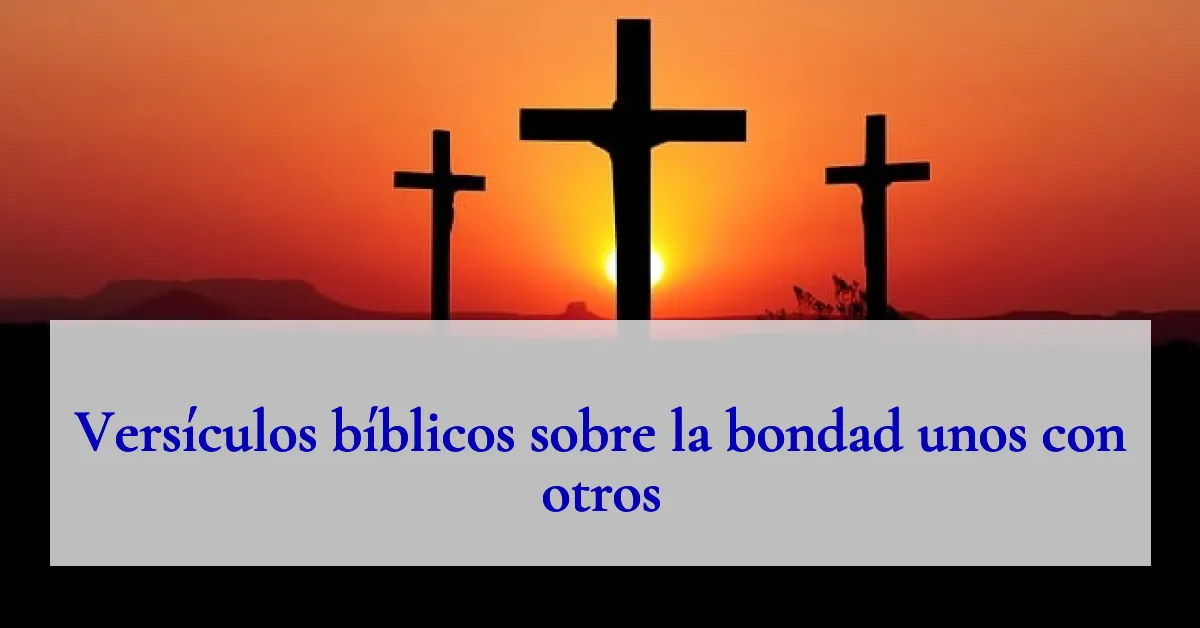 Versículos bíblicos sobre la bondad unos con otros