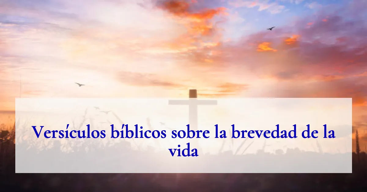 Versículos bíblicos sobre la brevedad de la vida