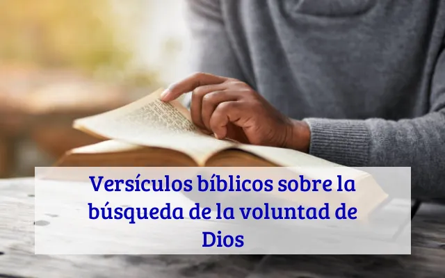 Versículos bíblicos sobre la búsqueda de la voluntad de Dios