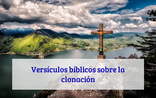 Versículos bíblicos sobre la clonación