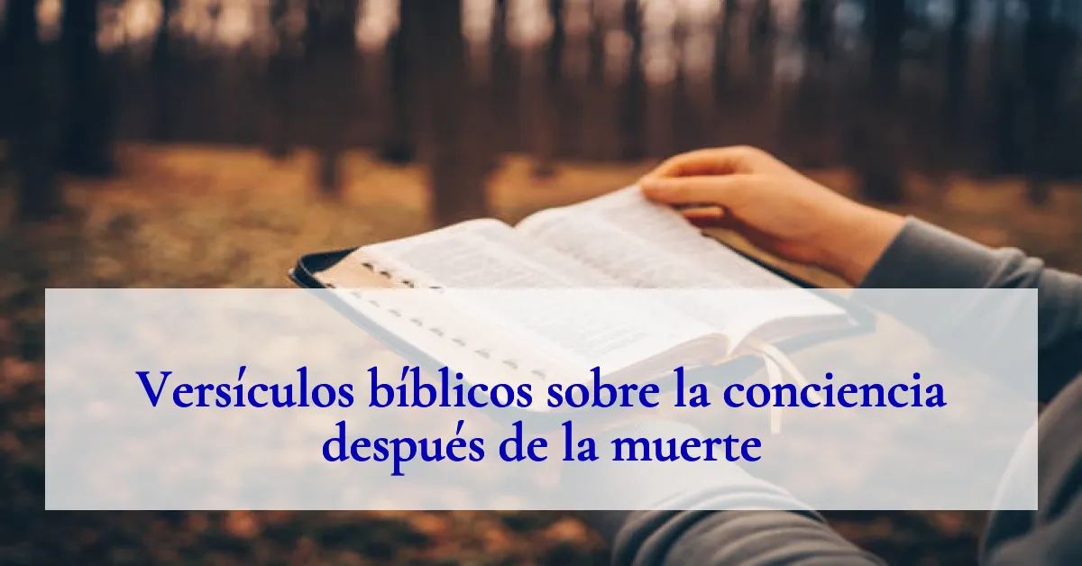 Versículos bíblicos sobre la conciencia después de la muerte