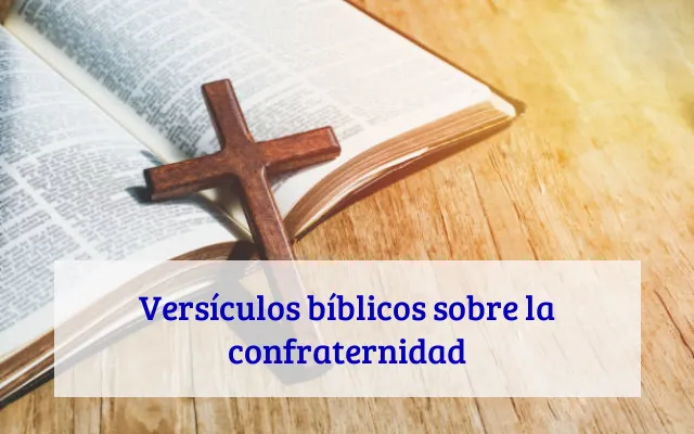Versículos bíblicos sobre la confraternidad