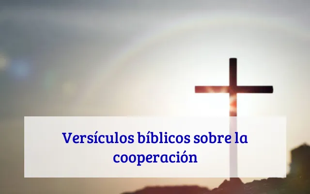 Versículos bíblicos sobre la cooperación