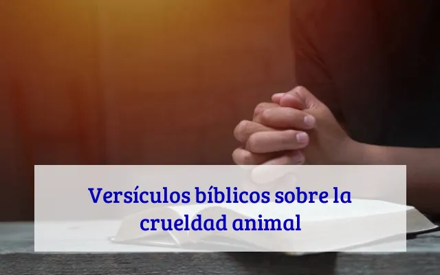 Versículos bíblicos sobre la crueldad animal