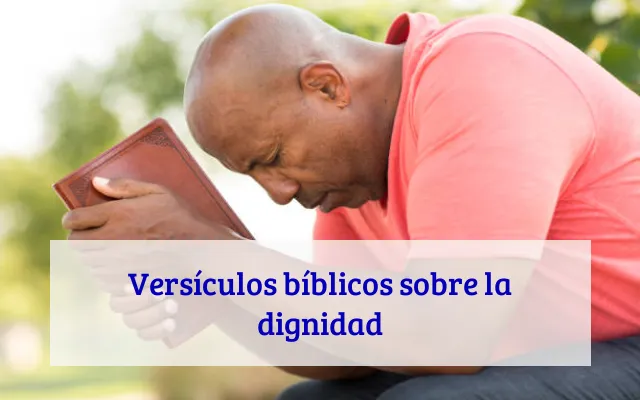 Versículos bíblicos sobre la dignidad