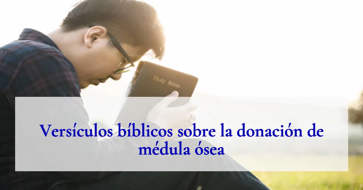 Versículos bíblicos sobre la donación de médula ósea