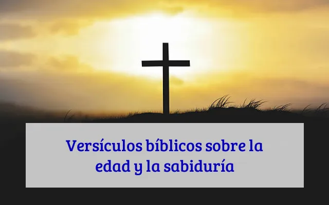 Versículos bíblicos sobre la edad y la sabiduría