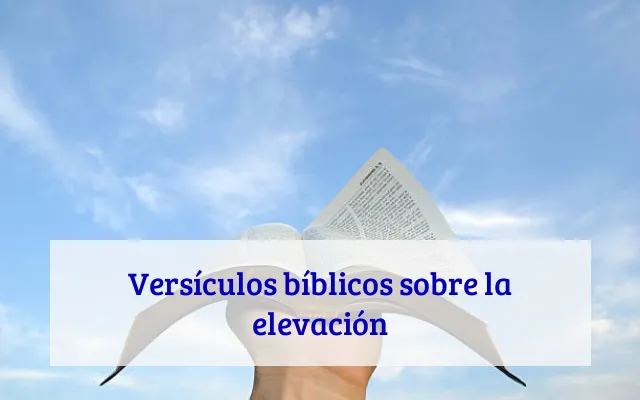 Versículos bíblicos sobre la elevación