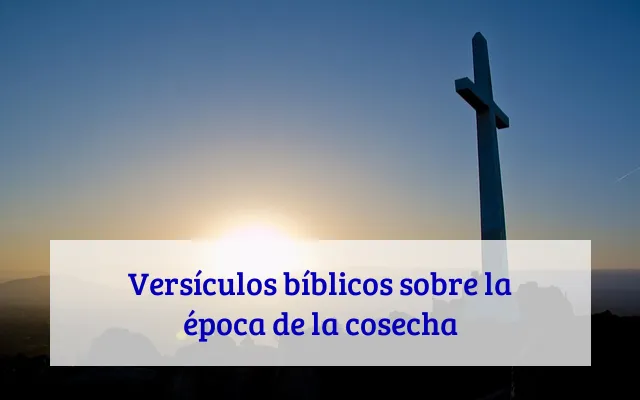 Versículos bíblicos sobre la época de la cosecha