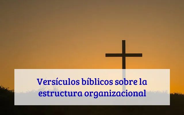 Versículos bíblicos sobre la estructura organizacional
