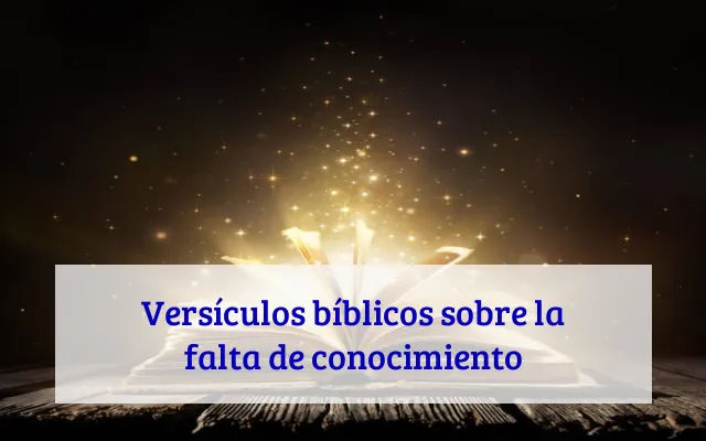 Versículos bíblicos sobre la falta de conocimiento