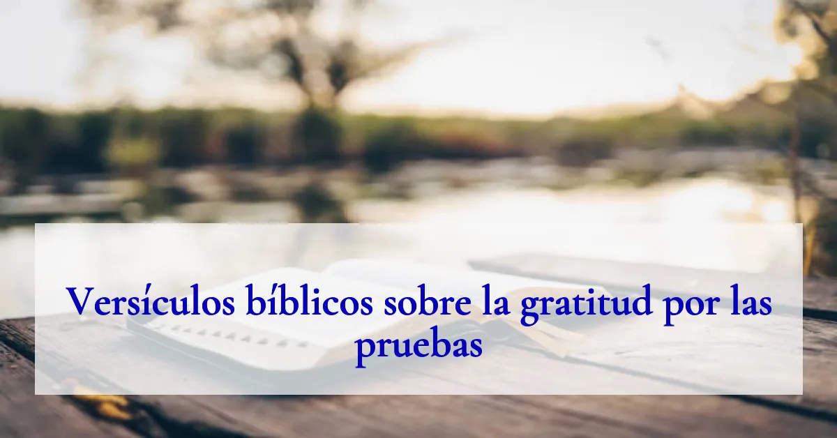 Versículos bíblicos sobre la gratitud por las pruebas