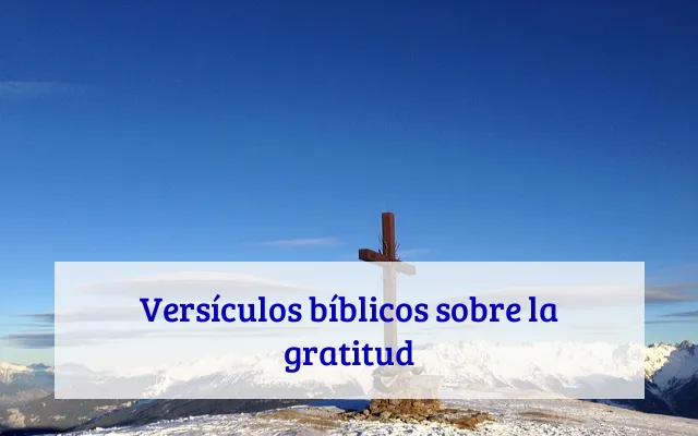 Versículos bíblicos sobre la gratitud