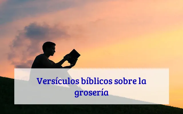 Versículos bíblicos sobre la grosería
