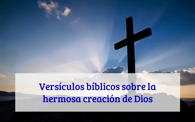 Versículos bíblicos sobre la hermosa creación de Dios