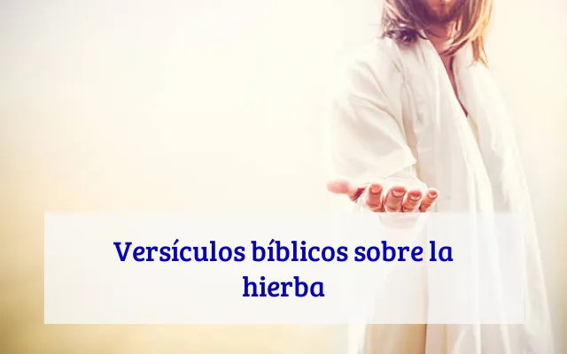 Versículos bíblicos sobre la hierba