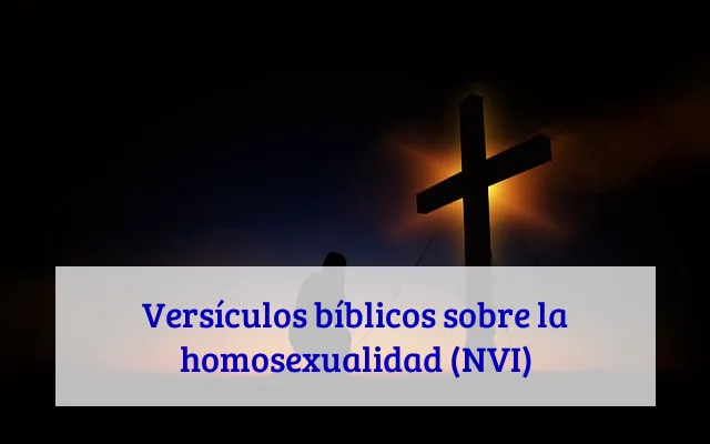 Versículos bíblicos sobre la homosexualidad (NVI)