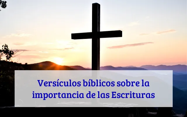 Versículos bíblicos sobre la importancia de las Escrituras