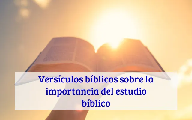 Versículos bíblicos sobre la importancia del estudio bíblico