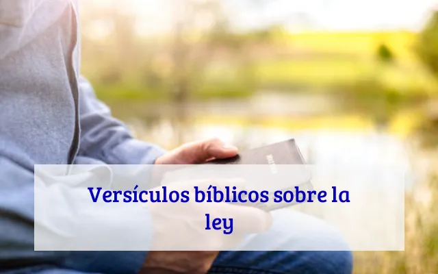 Versículos bíblicos sobre la ley