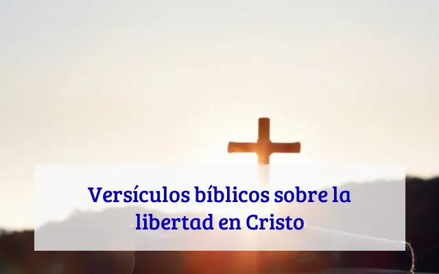 Versículos bíblicos sobre la libertad en Cristo
