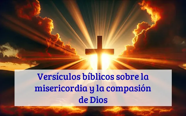 Versículos bíblicos sobre la misericordia y la compasión de Dios