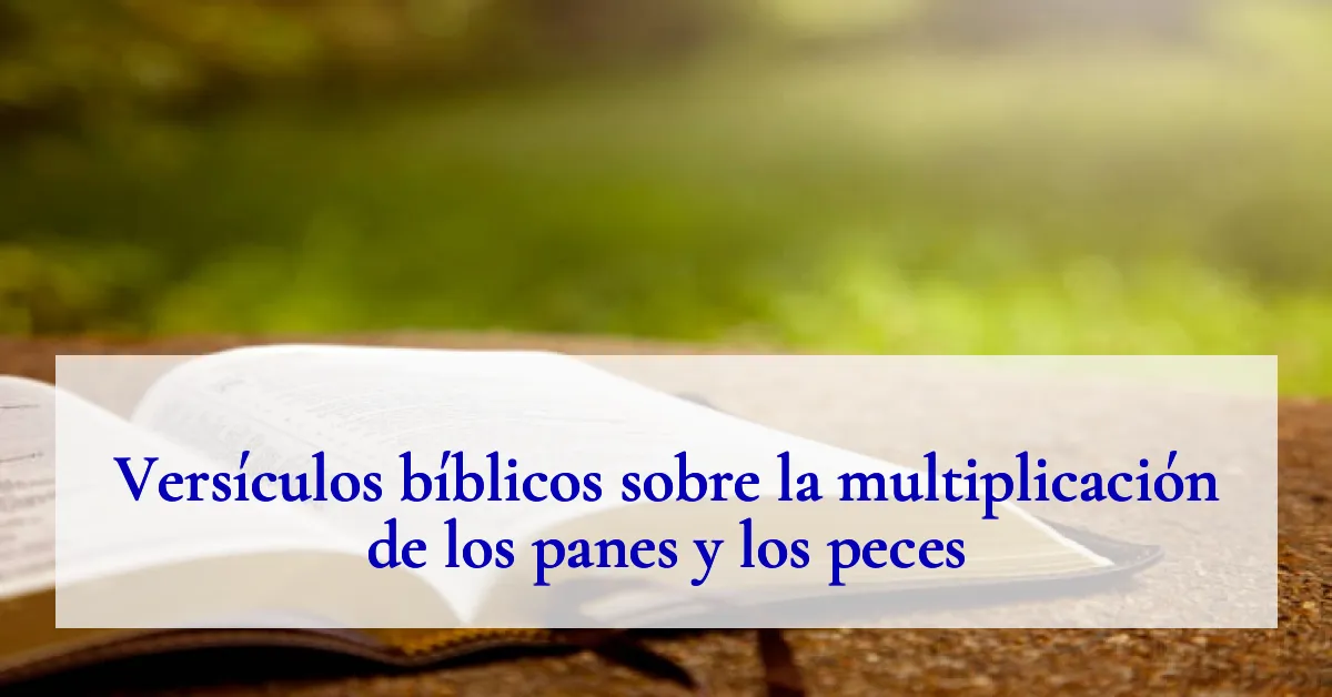 Versículos bíblicos sobre la multiplicación de los panes y los peces