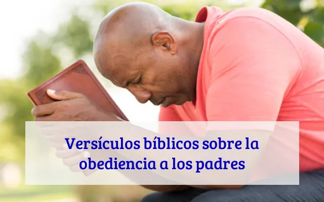 Versículos bíblicos sobre la obediencia a los padres