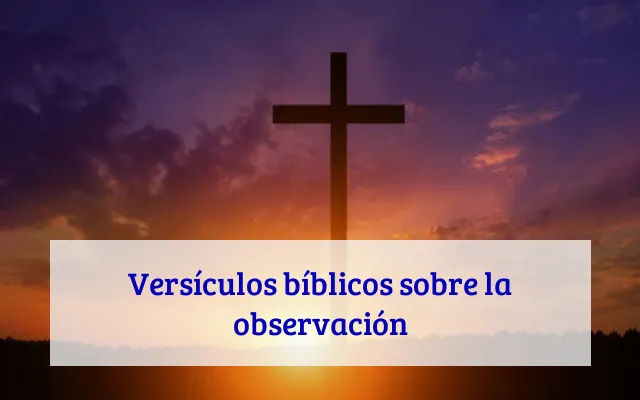 Versículos bíblicos sobre la observación