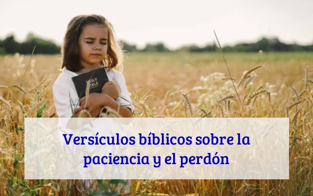 Versículos bíblicos sobre la paciencia y el perdón