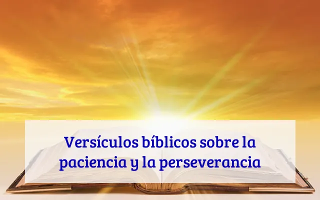 Versículos bíblicos sobre la paciencia y la perseverancia