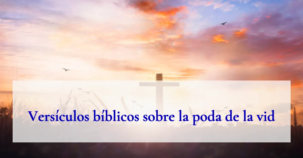 Versículos bíblicos sobre la poda de la vid