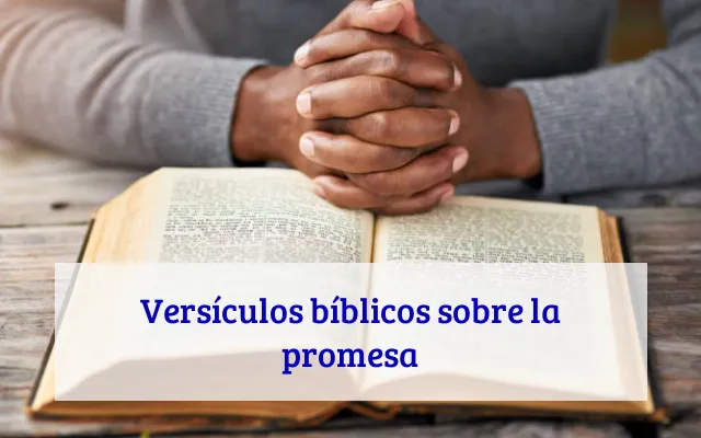 Versículos bíblicos sobre la promesa