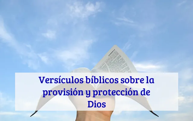 Versículos bíblicos sobre la provisión y protección de Dios