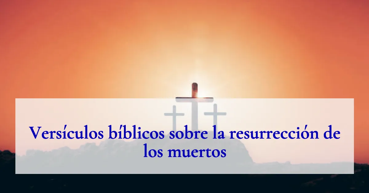 Versículos bíblicos sobre la resurrección de los muertos
