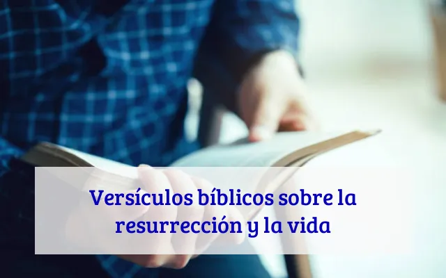 Versículos bíblicos sobre la resurrección y la vida