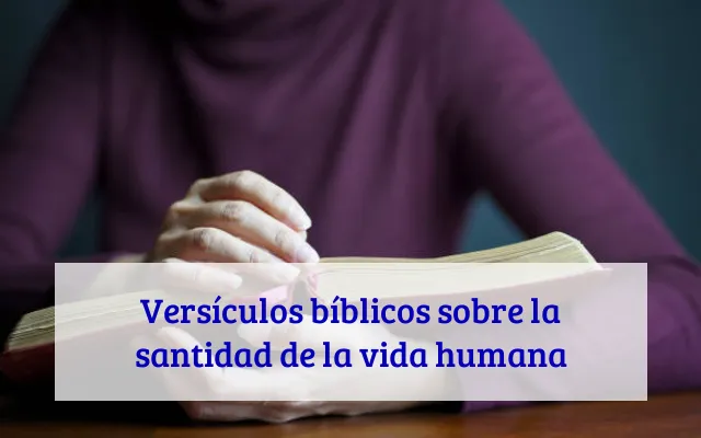 Versículos bíblicos sobre la santidad de la vida humana